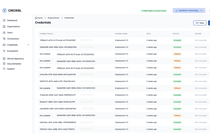 Verifiable credential issuance