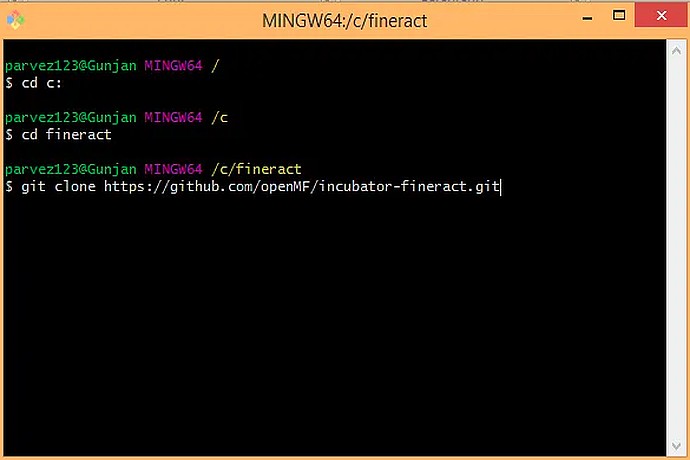 Command Line Interface for 'fineract' Repository
