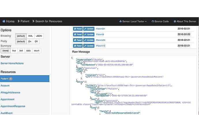 HAPI FHIR JSON Response