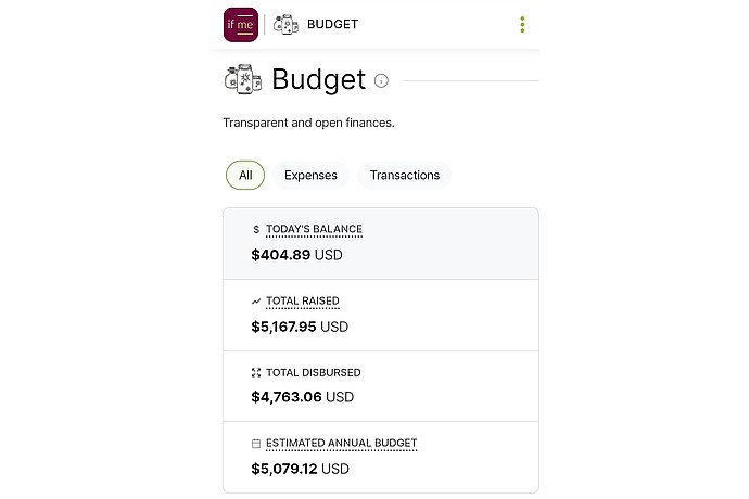 Budget Management Tool Mobile App Interface