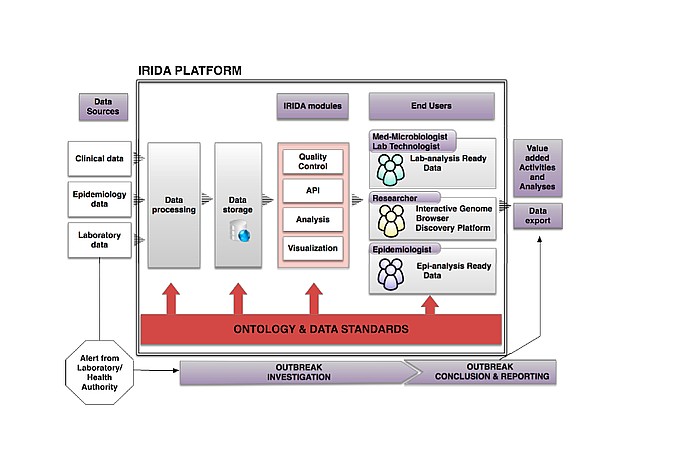 Assemblyline Process Description