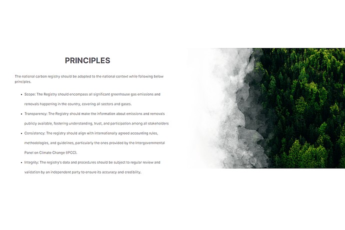 Principles of the National Carbon Credit Registry