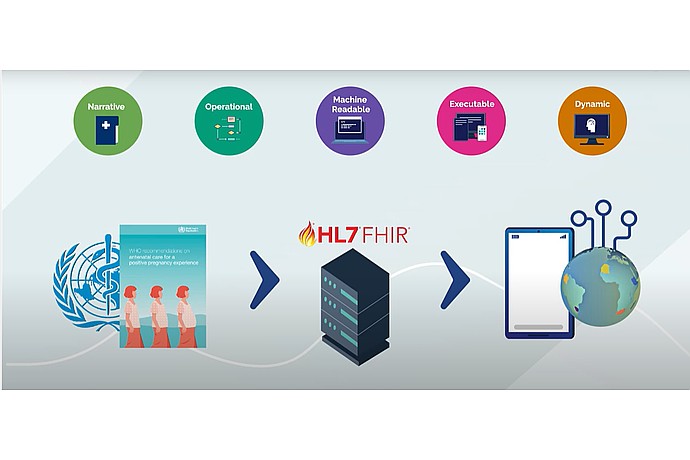 HL7 FHIR Standard Summary