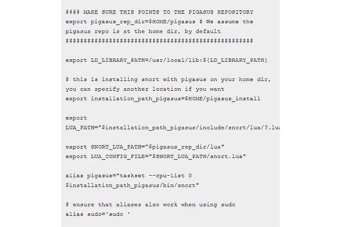 Pigasus Configuration with Snort