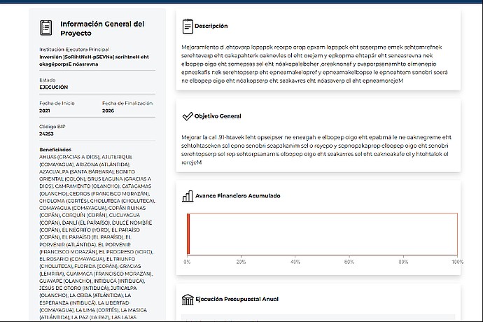 Project Profile in Execution with Financial Progress