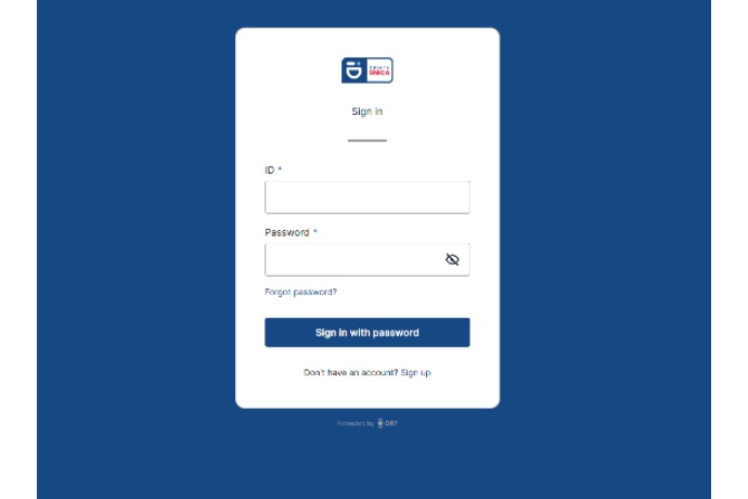 Password Sign-In Screen