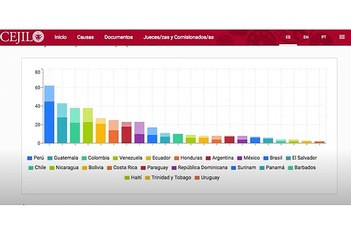 Human Rights Cases Bar Chart Description